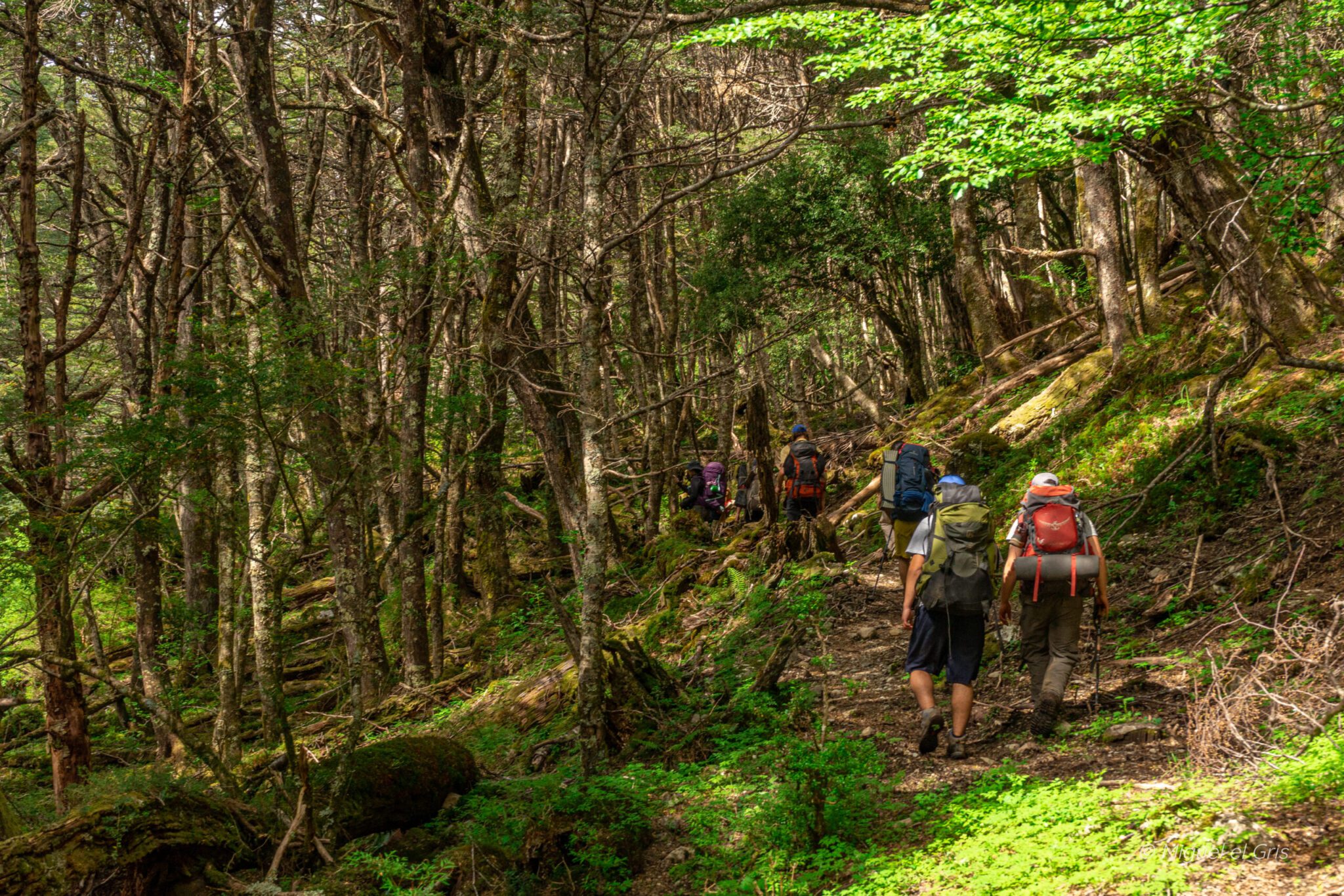 Día 3 - Regreso a Bahía Murta