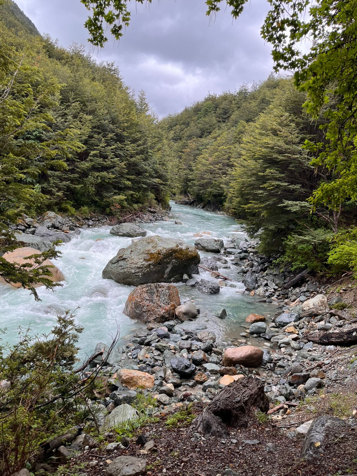 Cordillera patagónica — Torres del Avellano