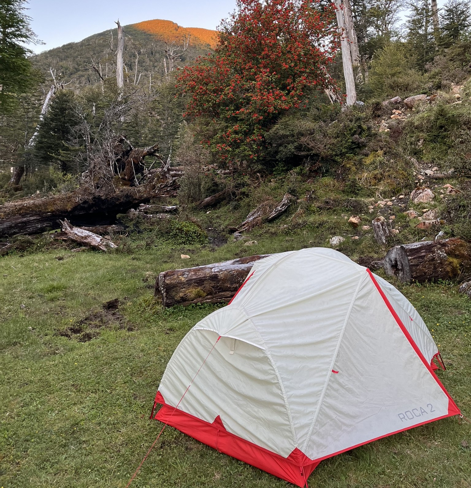 Campamento Puesto Agüero — Torres del Avellano